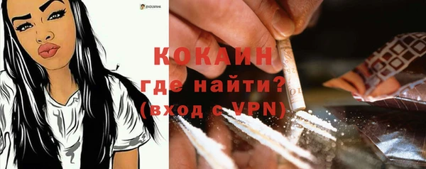 соль ск Кукмор