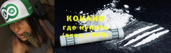 соль ск Кукмор