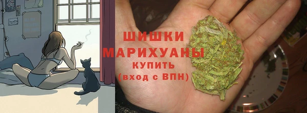 хмурый Куйбышев