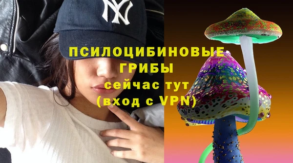 хмурый Куйбышев