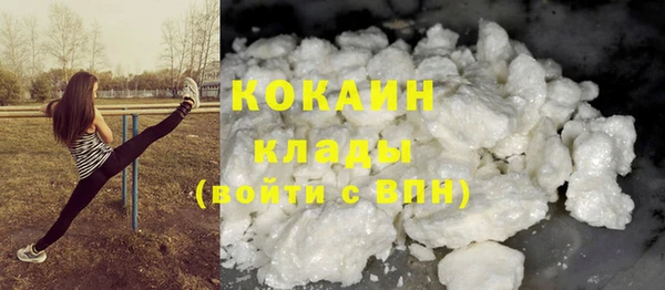 соль ск Кукмор