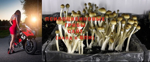 хмурый Куйбышев