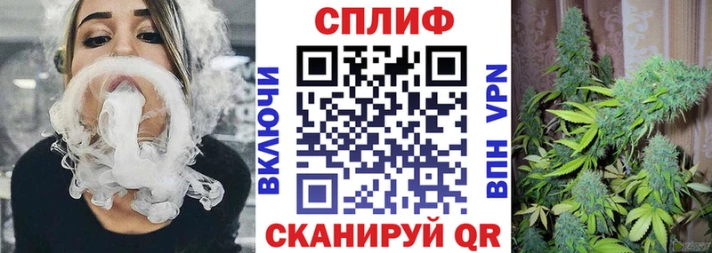 Купить  Ельня  Бошки Шишки VHQ 